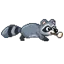 Guaxinim