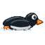 Pinguim deslizando
